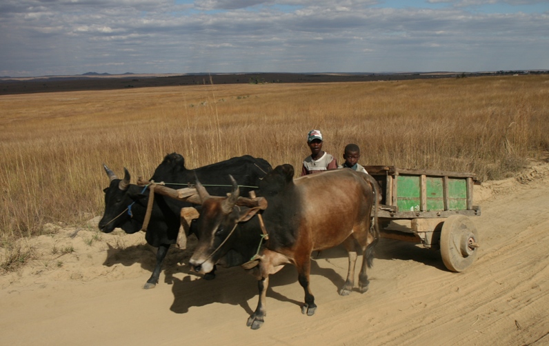 madagascar